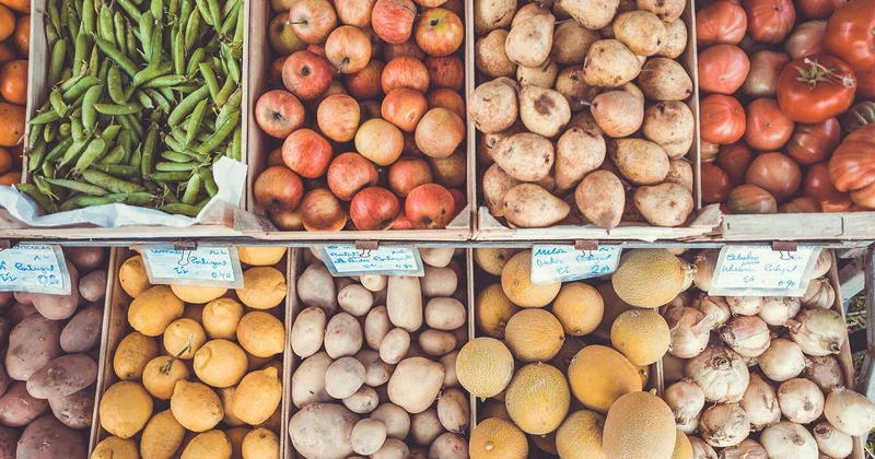 Which fruits and vegetables are in season right now?