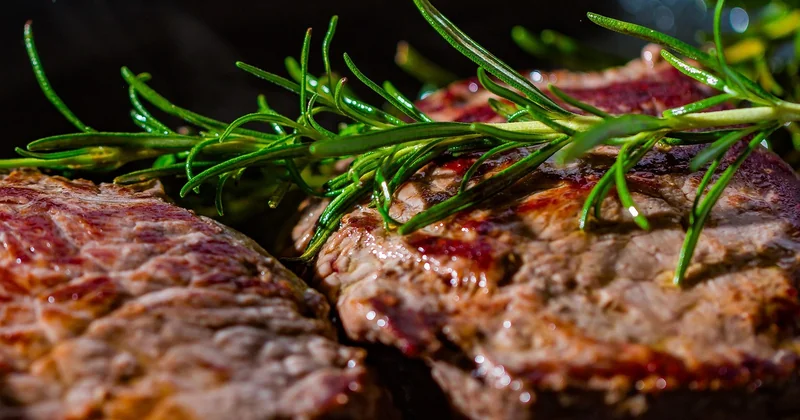 Which pan wins for steak?