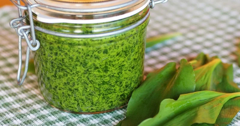 Common questions about keeping herbs fresh