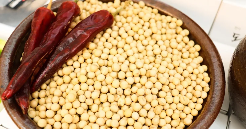 What country has the most fermented food?